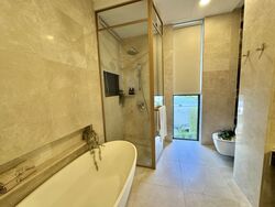 The Avenir (D9), Condominium #582880911
